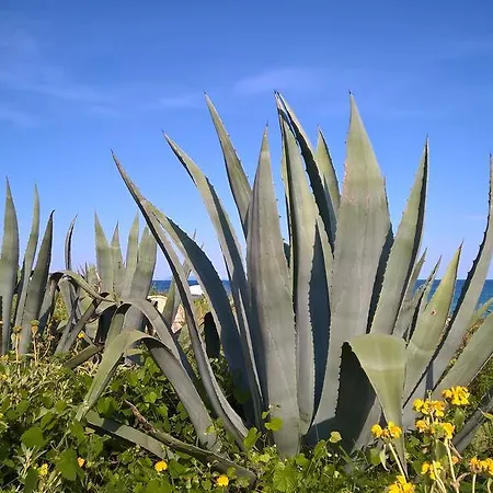 Отель St.george's Bay Country Club & Ахарави