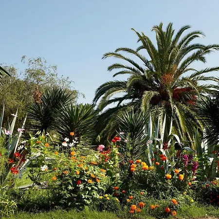 Hotel St.george's Bay Country Club & Acharavi (Corfu)